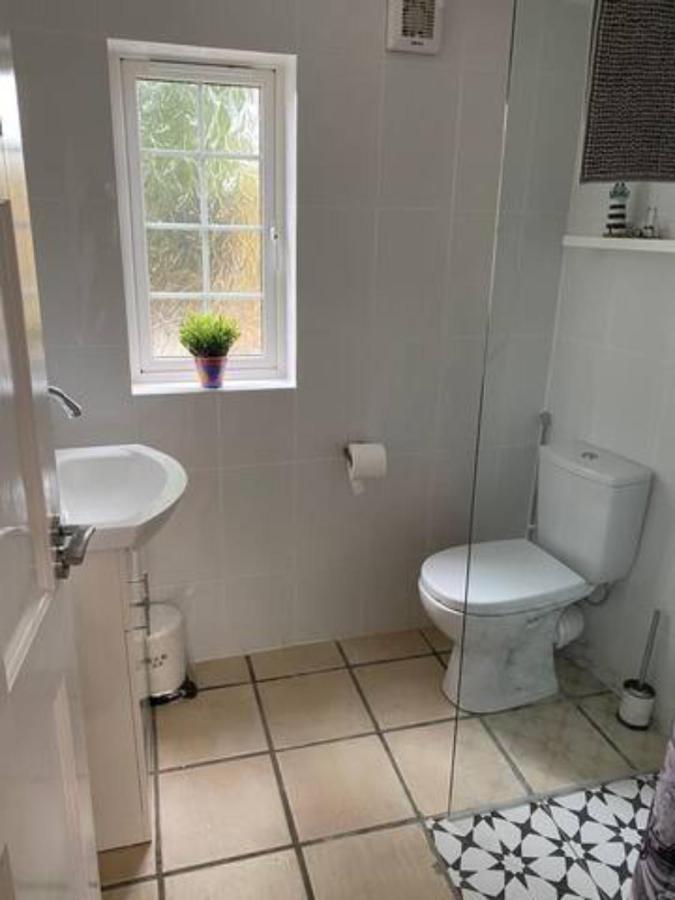 Location, Location! Gorgeous 1 Bed Apt- Киларни Екстериор снимка